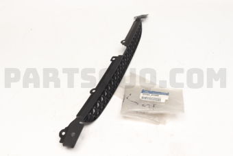 865602C500 GRILLE -RADIATOR