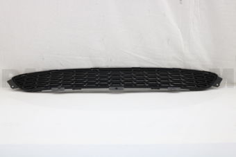 865622P500 MESH-FR BUMPER CTR