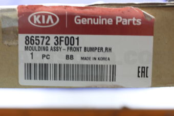 865723F001 MLDG ASSY-FR BPR,RH