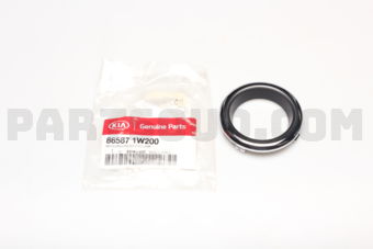 865871W200 MOULDING-FR BUMPER U