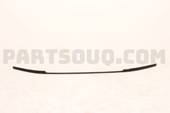 86595D9500 MOULDING-FRONTBUMPE