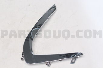 86595L1060 MOULDING-FRONT BUMPER,LH