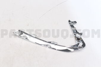 86596L1060 MOULDING-FRONT BUMPER,RH