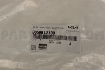 86596L8100 MOULDING-FRONTBUMPE