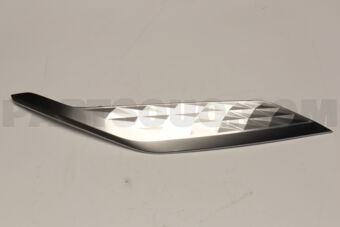 86596L8100 MOULDING-FRONTBUMPE