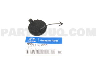 866172S000 CAP-RR HOOK