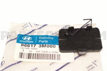 866173M000 CAP-RR HOOK