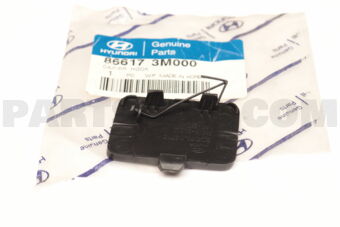 866173M000 CAP-RR HOOK