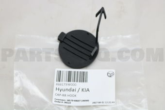 866173W000 CAP-RR HOOK