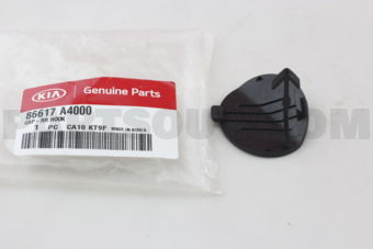 86617A4000 CAP-RR HOOK
