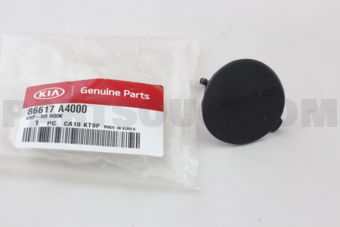 86617A4000 CAP-RR HOOK