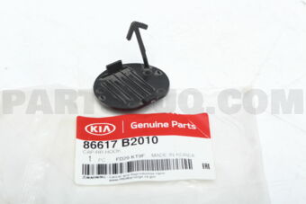 86617B2010 CAP-RR HOOK
