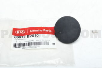 86617B2010 CAP-RR HOOK