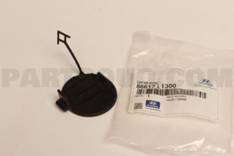86617L1300 CAP-RR HOOK