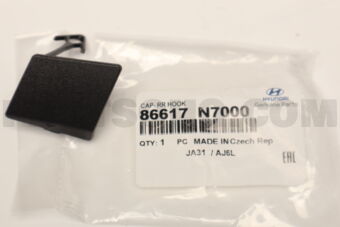 86617N7000 CAP-RR HOOK