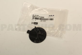 86617P1000 CAP-RRHOOK