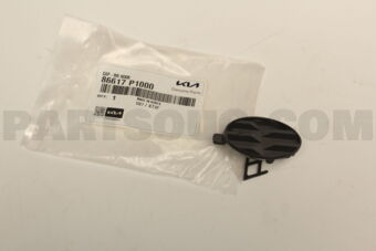 86617P1000 CAP-RRHOOK