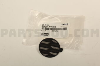 86617P1000 CAP-RRHOOK