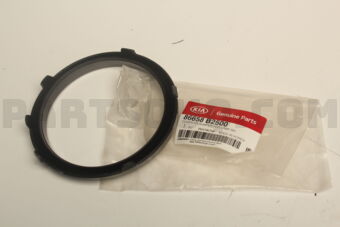 86658B2500 COVER-RRBUMPERFOG