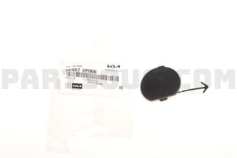 866672P000 CAP-RR HOOK