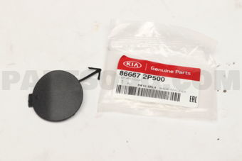 866672P500 CAP-RR HOOK