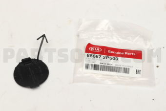 866672P500 CAP-RR HOOK