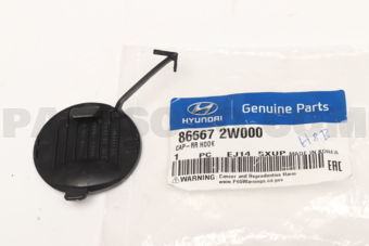 866672W000 CAP-RR HOOK