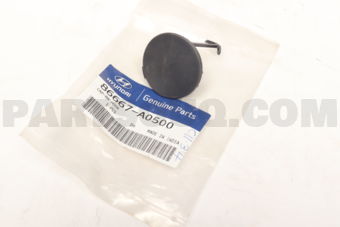 86667A0500 CAP-RR HOOK