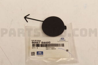 86667B8000 CAP-RR HOOK
