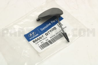86667D7500 CAP-RR HOOK