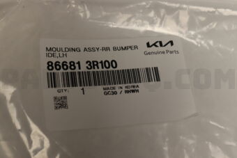 866813R100 MLDG-RR BPR SIDE LH