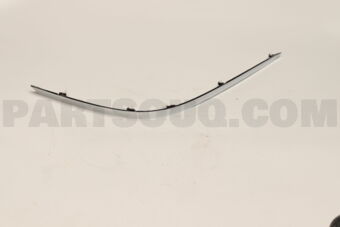866813R100 MLDG-RR BPR SIDE LH