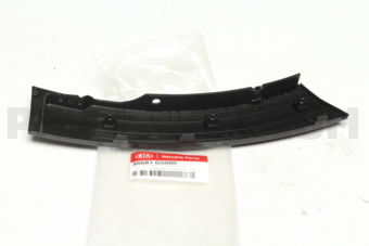 86681G5000 MOULDINGASSY-RRBUM