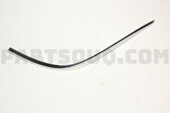 866843M500 MOULDING-R