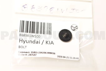 868981W500 BOLT