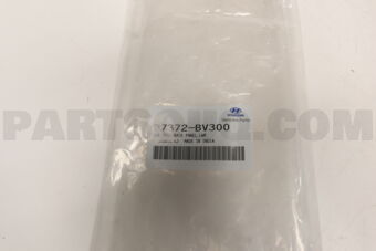 87372BV300 MOULDING-BACK PANEL,LWR