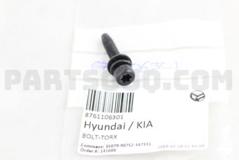 8761106301 BOLT-TORX
