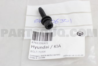 8761106301 BOLT-TORX