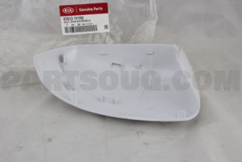 876131Y100 SCALP-O/S RR VIEW MI