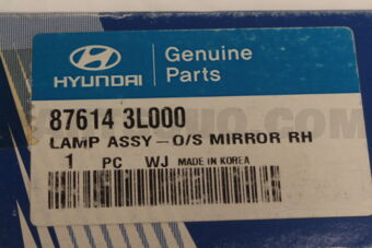 876143L000 LAMP ASSY-O/S MIRROR RH