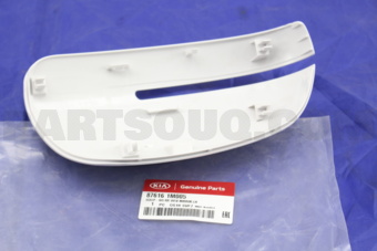 876161M005 SCALP-O/S RR VIEW MI