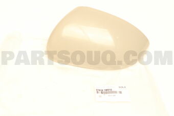876161W010 SCALP-O/S RR MIRROR