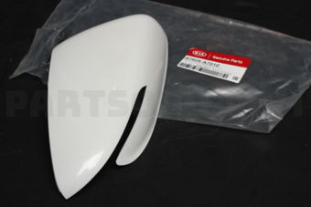 87626A7010 SCALP-O/S RR VIEW MI
