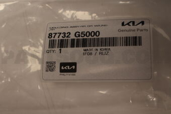 87732G5000 MOULDINGASSY-RRDR