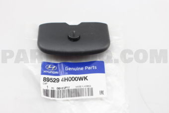 895294H000WK CAP