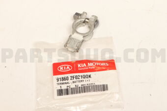 918602F021QQK TERMINAL BATTERY (+)