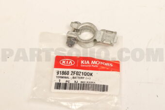 918602F021QQK TERMINAL BATTERY (+)