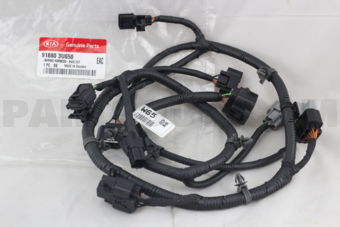 918803U650 WIRING HARNESS-BWS EXT