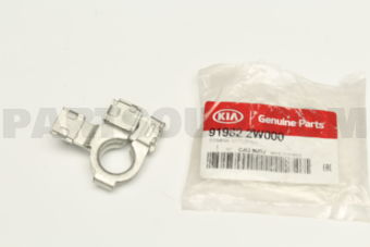 919822W000 TERMINAL-BATTERY(+)
