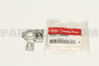 919822W000 TERMINAL-BATTERY(+)